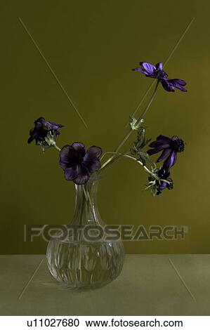 Vase of flowers on table View Large Photo Image Stock Image - Vase of flowers on table. Fotosearch