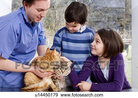 Vet talking to children with their cats View Large Photo Image Stock Photo - Vet talking to children with their cats. Fotosearch