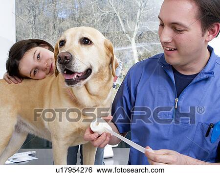 Vet working with girl and her dog View Large Photo Image Stock Photograph - Vet working with girl and her dog. Fotosearch