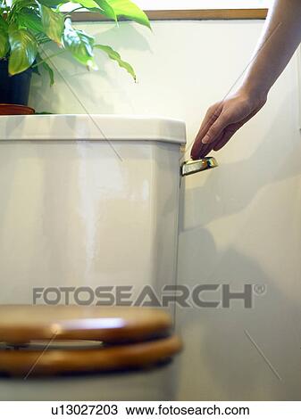 Woman flushing a toilet View Large Photo Image Stock Image - Woman flushing a toilet. Fotosearch