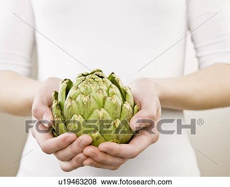 Woman holding an artichoke View Large Photo Image Stock Photo - Woman holding an artichoke. Fotosearch