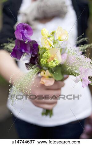 Woman holding bouquet of flowers View Large Photo Image Stock Photo - Woman holding bouquet of flowers. Fotosearch