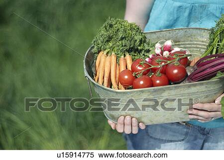 Stock Photography - Woman holding bucket of vegetables. Fotosearch