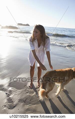 Woman petting dog on beach View Large Photo Image Stock Photography - Woman petting dog on beach. Fotosearch