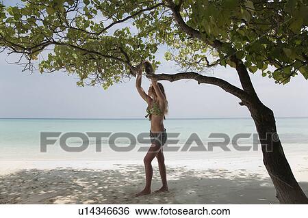 Stock Photograph - Woman standing under tree on beach. Fotosearch
