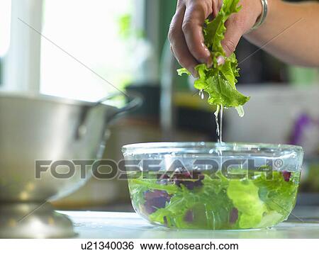 Stock Photograph - Woman washing lettuce in bowl. Fotosearch