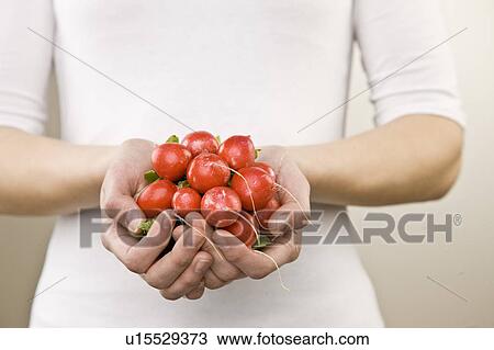 Woman with handful of radishes View Large Photo Image Stock Image - Woman with handful of radishes. Fotosearch