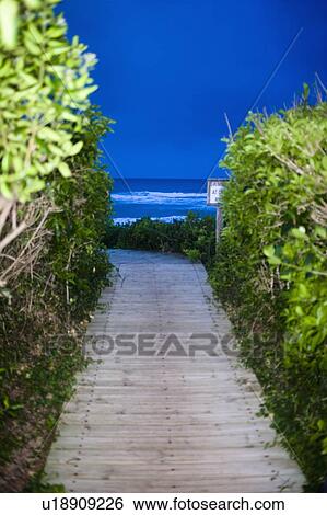 Wooden walkway leading to beach View Large Photo Image Stock Photograph - Wooden walkway leading to beach. Fotosearch