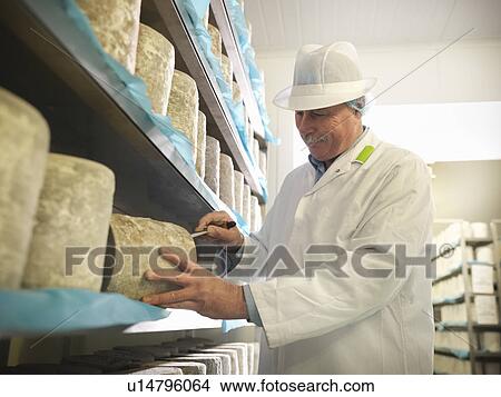 Worker checking blue cheese in factory View Large Photo Image Picture - Worker checking blue cheese in factory. Fotosearch