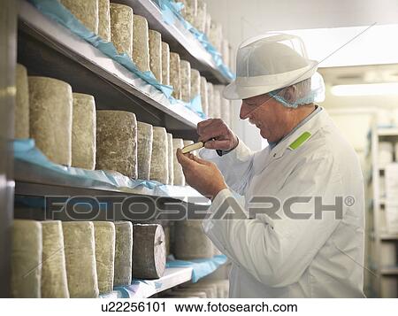 Worker checking blue cheese in factory View Large Photo Image Stock Image - Worker checking blue cheese in factory. Fotosearch