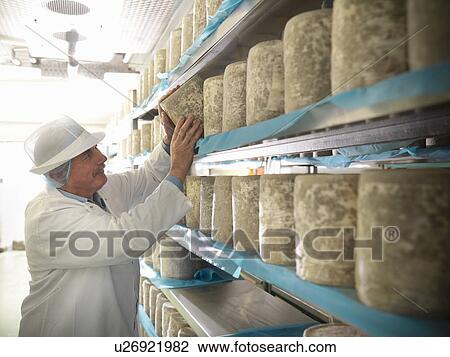 Worker checking blue cheese in factory View Large Photo Image Stock Image - Worker checking blue cheese in factory. Fotosearch