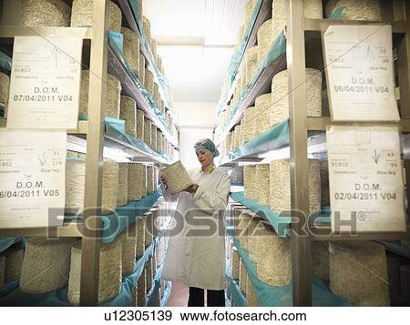 Worker checking blue cheese in factory View Large Photo Image Stock Photo - Worker checking blue cheese in factory. Fotosearch