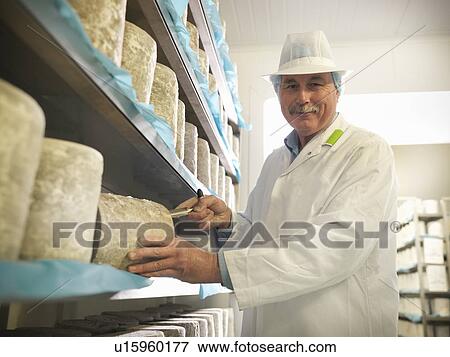 Worker checking blue cheese in factory View Large Photo Image Stock Photo - Worker checking blue cheese in factory. Fotosearch