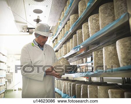 Worker checking blue cheese in factory View Large Photo Image Stock Photograph - Worker checking blue cheese in factory. Fotosearch