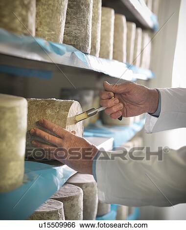 Stock Photograph - Worker checking blue cheese in factory. Fotosearch