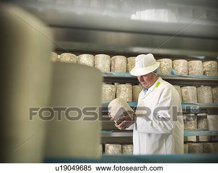 Worker checking blue cheese in factory View Large Photo Image Stock Photography - Worker checking blue cheese in factory. Fotosearch