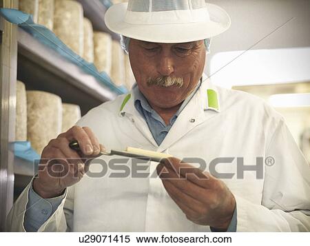 Stock Photography - Worker checking blue cheese in factory. Fotosearch