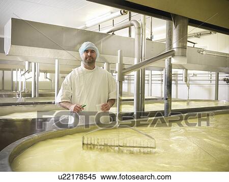 Stock Photography - Worker checking milk in cheese factory. Fotosearch