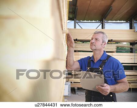 Worker checking wooden planks in joinery View Large Photo Image Stock Image - Worker checking wooden planks in joinery. Fotosearch