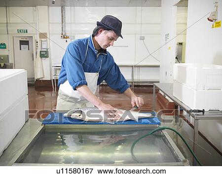 Stock Photo - Worker filleting salmon in plant. Fotosearch