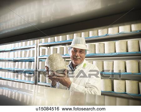 Worker holding blue cheese in factory View Large Photo Image Stock Photograph - Worker holding blue cheese in factory. Fotosearch