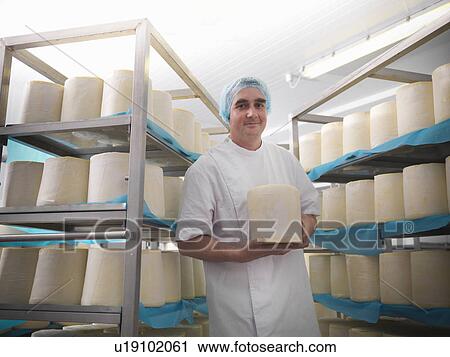 Worker holding cheese in factory View Large Photo Image Stock Image - Worker holding cheese in factory. Fotosearch