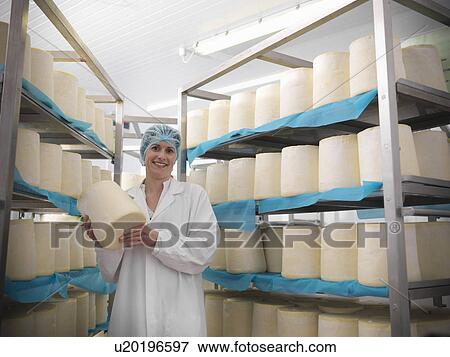 Stock Photo - Worker holding cheese in factory. Fotosearch