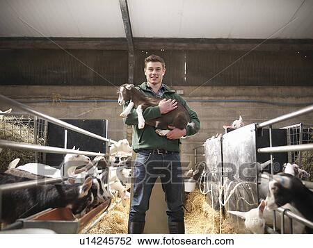 Stock Image - Worker holding kid goat on farm. Fotosearch