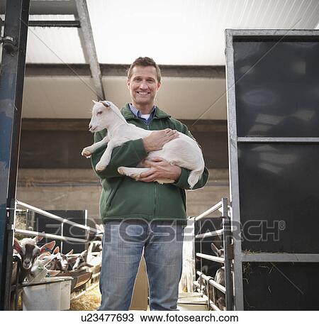 Stock Image - Worker holding kid goat on farm. Fotosearch