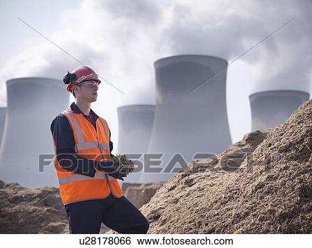 Worker holding willow biomass fuel View Large Photo Image Stock Photograph - Worker holding willow biomass fuel. Fotosearch