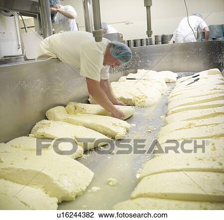 Stock Image - Worker making cheese in factory. Fotosearch