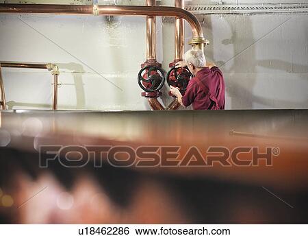 Worker turning valves in distillery View Large Photo Image Stock Photograph - Worker turning valves in distillery. Fotosearch