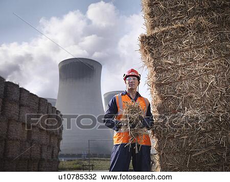 Stock Image - Worker with elephant grass biomass fuel. Fotosearch