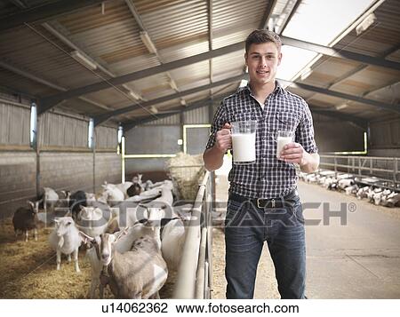 Worker with glass of goat’s milk on farm View Large Photo Image Stock Image - Worker with glass of goat’s milk on farm. Fotosearch