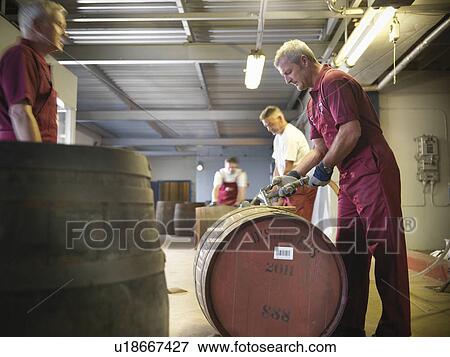 Worker with whisky barrel in distillery View Large Photo Image Stock Photo - Worker with whisky barrel in distillery. Fotosearch
