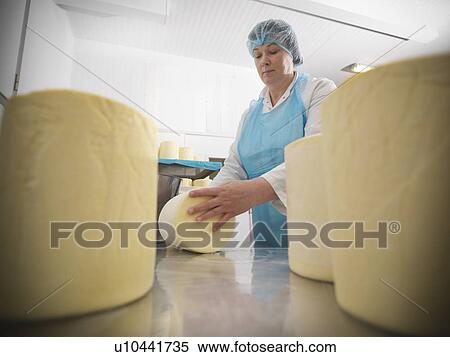 Stock Photography - Worker wrapping cheese in factory. Fotosearch