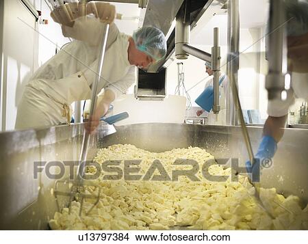 Workers chopping cheese in factory View Large Photo Image Picture - Workers chopping cheese in factory. Fotosearch