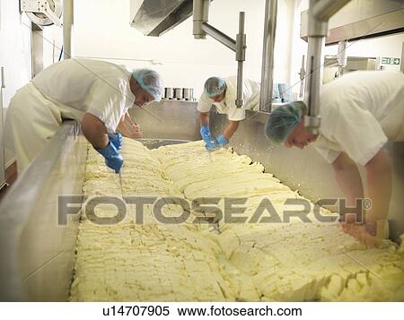 Stock Photography - Workers chopping cheese in factory. Fotosearch