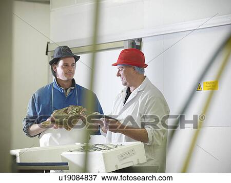 Workers holding mackerel and turbot View Large Photo Image Stock Photo - Workers holding mackerel and turbot. Fotosearch