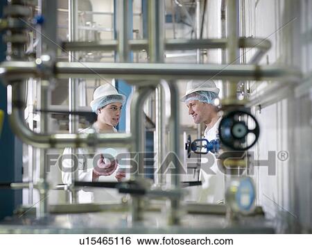 Workers inspecting goat yogurt in dairy View Large Photo Image Stock Photograph - Workers inspecting goat yogurt in dairy. Fotosearch