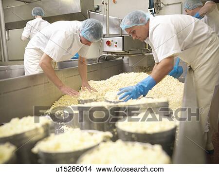 Workers packing cheese in factory View Large Photo Image Picture - Workers packing cheese in factory. Fotosearch