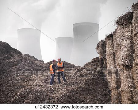 Stock Image - Workers with elephant grass biomass fuel. Fotosearch