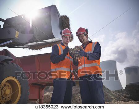 Stock Image - Workers with elephant grass biomass fuel. Fotosearch