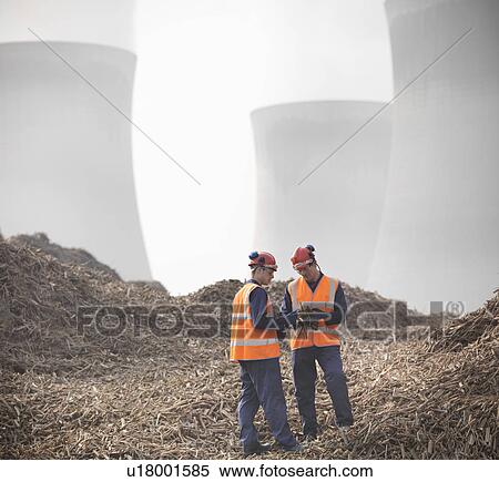 Stock Photography - Workers with willow biomass fuel. Fotosearch
