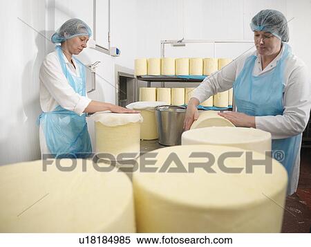 Workers wrapping cheese in factory View Large Photo Image Stock Photography - Workers wrapping cheese in factory. Fotosearch
