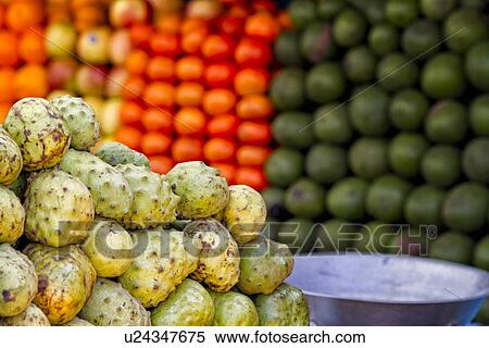 Stock Photography - Cherimoya jungle fruit with tangerines and avocados in background at fruit stall, Cordilleras, Peru. Fotosearch