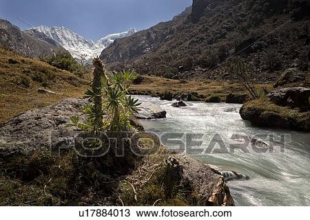 Llaca valley: mountain stream with motion blur, and snow-capped mountains beyond, blue sky, Cordilleras, Peru View Large Photo Image Stock Image - Llaca valley: mountain stream with motion blur, and snow-capped mountains beyond, blue sky, Cordilleras, Peru. Fotosearch