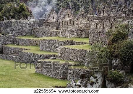 Machu Picchu Inca ruins: detail of agricultural sector terraces and buildings with steep mountain wall beyond in mist, Machu Picchu, Sacred Valley, Peru View Large Photo Image Picture - Machu Picchu Inca ruins: detail of agricultural sector terraces and buildings with steep mountain wall beyond in mist, Machu Picchu, Sacred Valley, Peru. Fotosearch