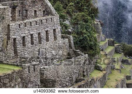 Machu Picchu Inca ruins: detail of agricultural sector terraces and buildings with steep drop beyond, distant mist, Machu Picchu, Sacred Valley, Peru View Large Photo Image Stock Image - Machu Picchu Inca ruins: detail of agricultural sector terraces and buildings with steep drop beyond, distant mist, Machu Picchu, Sacred Valley, Peru. Fotosearch
