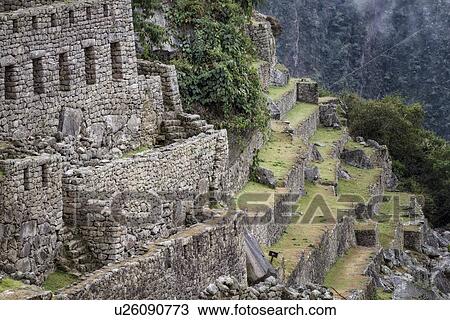 Stock Image - Machu Picchu Inca ruins: detail of agricultural sector terraces and buildings with steep drop beyond, distant mist, Machu Picchu, Sacred Valley, Peru. Fotosearch